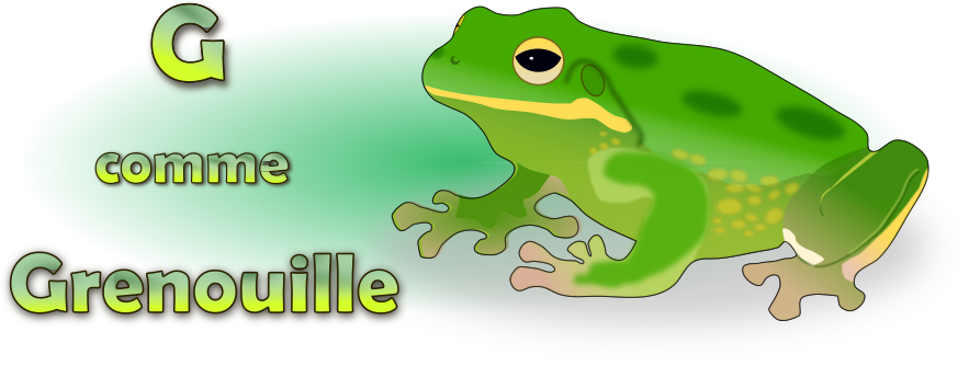 G comme Grenouille