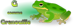 G comme Grenouille