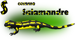 S comme Salamandre