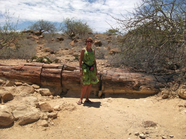bois_fossile_damaraland.jpg - Bois fosilisé au Damaraland (Namibie)