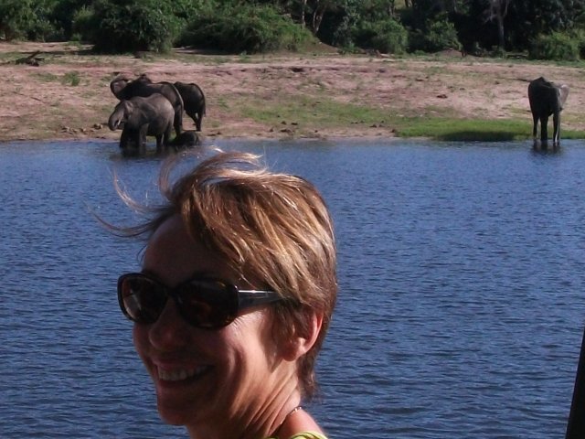 framboise_et_elephants.jpg - Françoise et éléphants Parc de Chobe (Botswana)