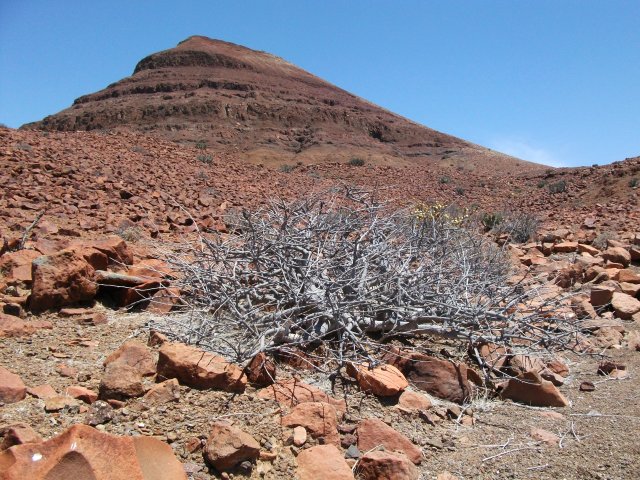 paysage_damaraland.jpg - Désert de pierres au Damaraland (Namibie)