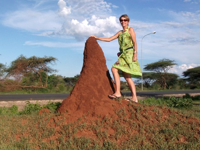 termitiere_kasane.jpg - Termitière à Kasane (Botswana)