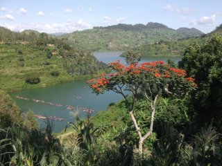 Lac Kivu 01