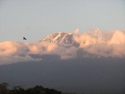 Le Kilimanjaro au crépuscule