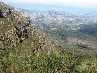 Cape Town vue depuis Platteklip Gorge