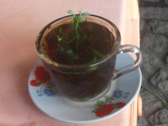 Tasse de thé aromatisé avec un brin de rue