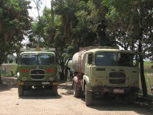 Anciens camions Fiat_182_N3 (Le roi de l'Afrique)