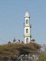 Minaret et marabouts à Ziway
