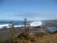 La plage de Cobquecura. On voit les rochers de la colonie de lions de mer.