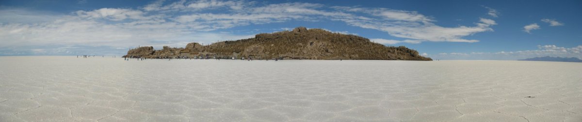 Panorama de l'Île Incahuasi (Isla del Pescado) sur le Salar d'Uyuni