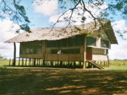Guesthouse dans le Sepik