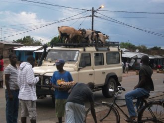 Chèvres sur le toit d'une Land rover