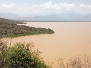 Lac Abaya à proximité de Arba Minch. Les eaux sont boueuses.