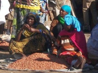 Marchandes de haricots à Harar