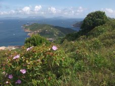 Lamma Island est la troisième île du territoire par sa superficie. Elle est située entre Hong Kong et Lantau, un peu au Sud. Elle est un peu touristique, mais il n'y a pas de voitures sur cette île.