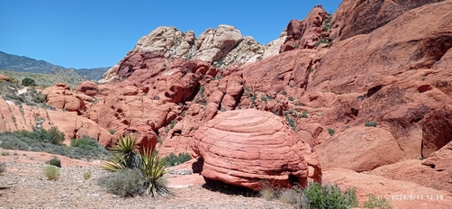Red Rock Canyon, à l'ouest de Las Vegas, Nevada